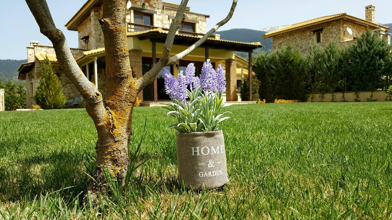 Mountain Chalet Livadi Arachova Exterior photo